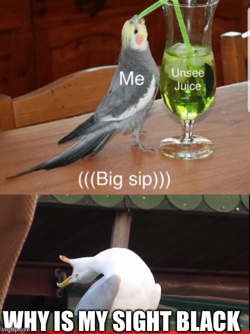 WHY IS MY SIGHT BLACK | image tagged in unsee juice,screaming bird | made w/ Imgflip meme maker