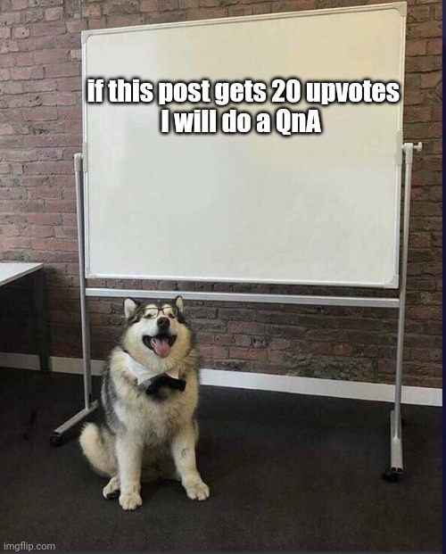If this post gets 20 upvotes I will do a QnA | if this post gets 20 upvotes






I will do a QnA | image tagged in whiteboard husky,memes | made w/ Imgflip meme maker