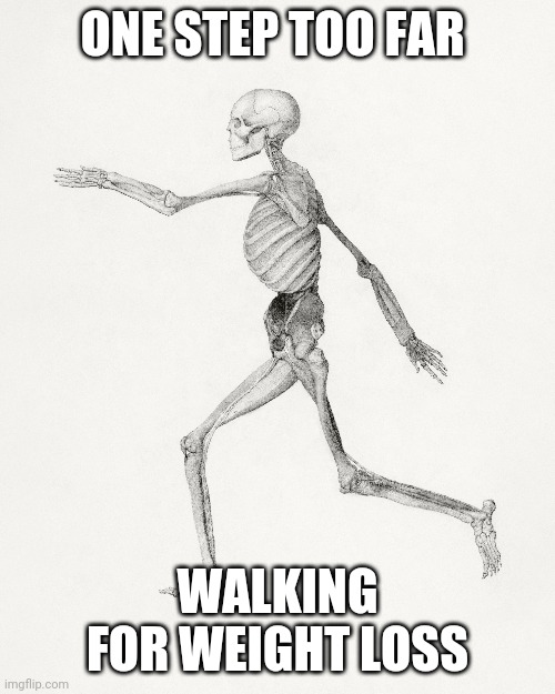 Weight loss | ONE STEP TOO FAR; WALKING FOR WEIGHT LOSS | image tagged in weight loss | made w/ Imgflip meme maker