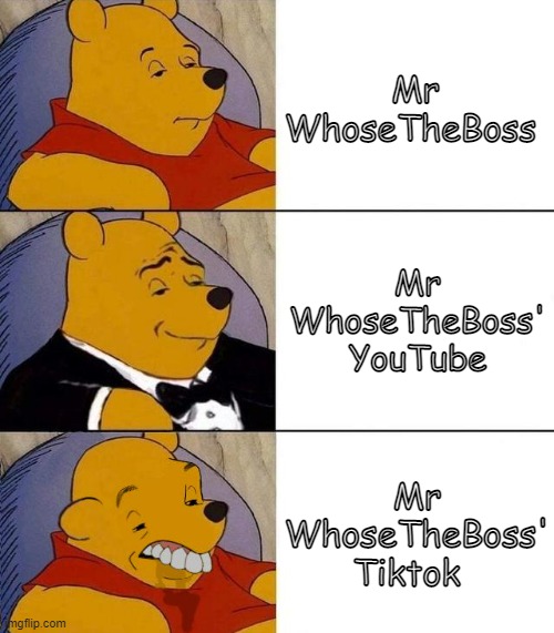 clever title | Mr WhoseTheBoss; Mr WhoseTheBoss' YouTube; Mr WhoseTheBoss' Tiktok | image tagged in best better blurst | made w/ Imgflip meme maker