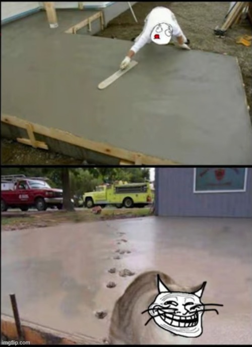cats will be cats | image tagged in cats | made w/ Imgflip meme maker