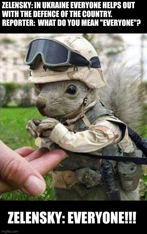 Leon, the professional. Squirrel edition | ZELENSKY: IN UKRAINE EVERYONE HELPS OUT 
WITH THE DEFENCE OF THE COUNTRY.

REPORTER:  WHAT DO YOU MEAN "EVERYONE"? ZELENSKY: EVERYONE!!! | image tagged in war,ukraine,squirrel | made w/ Imgflip meme maker