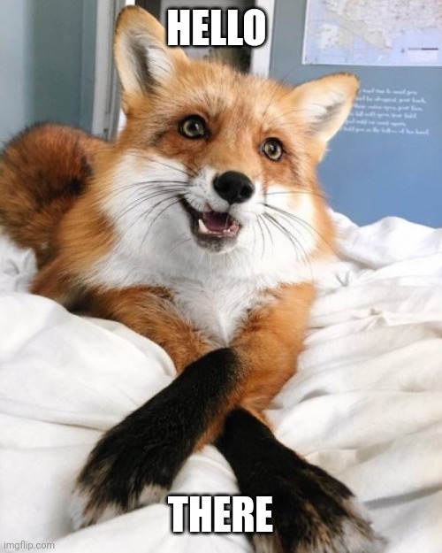 Freindly Fox | HELLO; THERE | image tagged in fox | made w/ Imgflip meme maker
