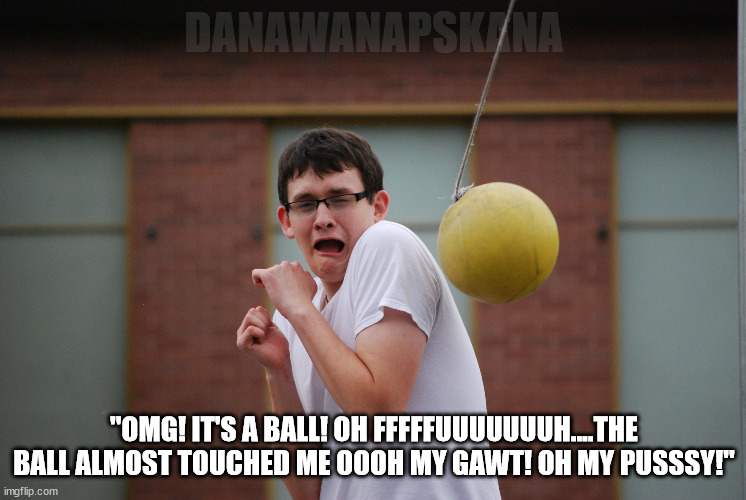 killerinstincts | DANAWANAPSKANA; "OMG! IT'S A BALL! OH FFFFFUUUUUUUH....THE BALL ALMOST TOUCHED ME OOOH MY GAWT! OH MY PUSSSY!" | image tagged in tetherball,sports,masculinity,modern men,testosterone | made w/ Imgflip meme maker