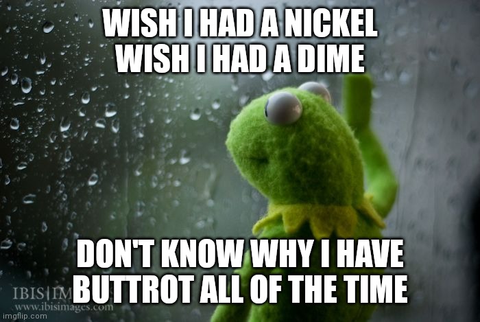 kermit window | WISH I HAD A NICKEL
WISH I HAD A DIME; DON'T KNOW WHY I HAVE BUTTROT ALL OF THE TIME | image tagged in kermit window | made w/ Imgflip meme maker