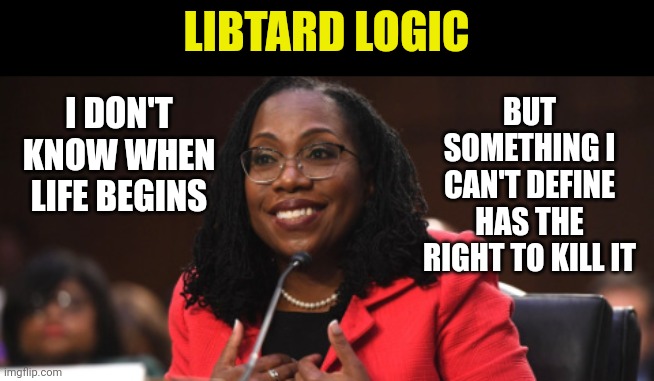 LIBTARD LOGIC; I DON'T KNOW WHEN LIFE BEGINS; BUT SOMETHING I CAN'T DEFINE HAS THE RIGHT TO KILL IT | made w/ Imgflip meme maker