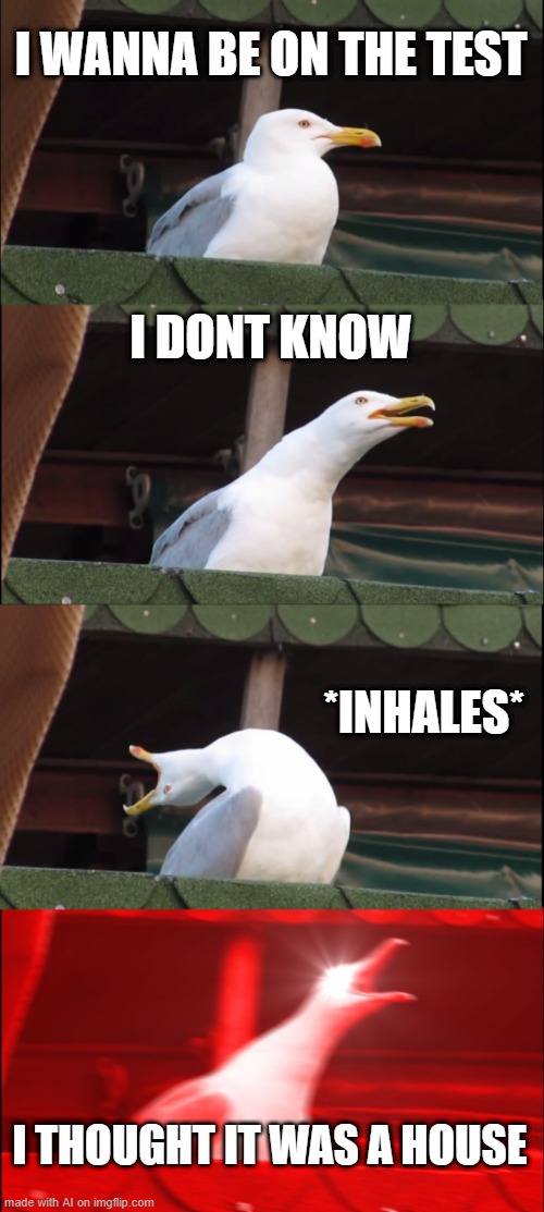 Inhaling Seagull | I WANNA BE ON THE TEST; I DONT KNOW; *INHALES*; I THOUGHT IT WAS A HOUSE | image tagged in memes,inhaling seagull | made w/ Imgflip meme maker