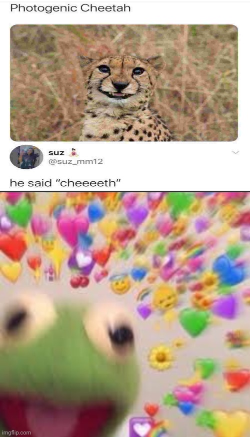 Soooo cute. | image tagged in kermit with hearts,wholesome,cheetah | made w/ Imgflip meme maker