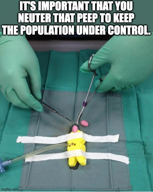 Peep | IT'S IMPORTANT THAT YOU NEUTER THAT PEEP TO KEEP THE POPULATION UNDER CONTROL. | image tagged in peeps | made w/ Imgflip meme maker