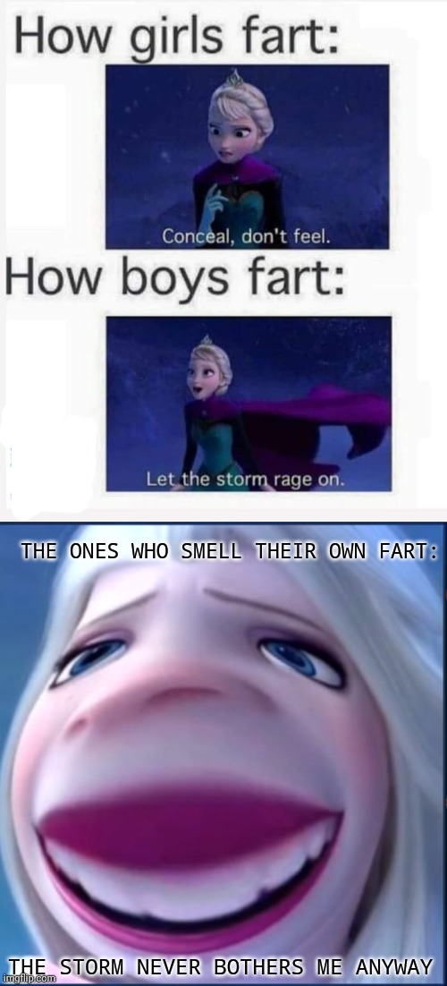XD | THE ONES WHO SMELL THEIR OWN FART:; THE STORM NEVER BOTHERS ME ANYWAY | image tagged in memes,funny,fun | made w/ Imgflip meme maker