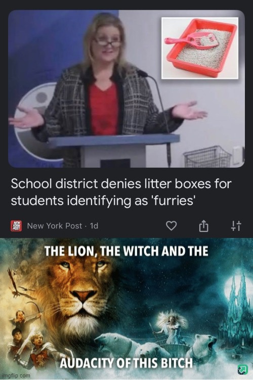 Now she's just asking for it! | image tagged in the lion the witch and the audacity of this bitch,furry,memes,the frick,anti furry | made w/ Imgflip meme maker
