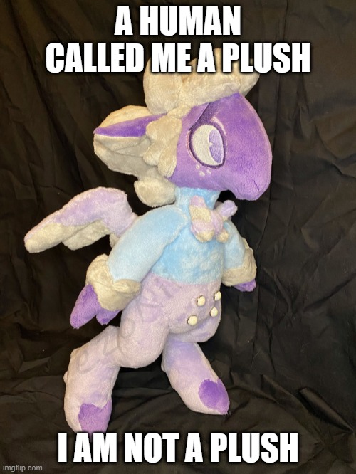 Blue Plush | A HUMAN CALLED ME A PLUSH; I AM NOT A PLUSH | image tagged in helluva boss,memes | made w/ Imgflip meme maker