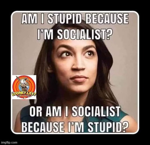 Socialist ? | image tagged in bitch how dare you still live | made w/ Imgflip meme maker