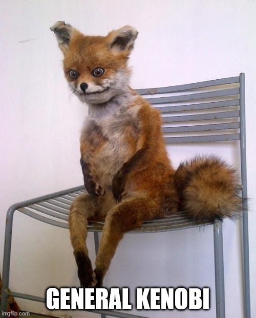 Stoned Fox | GENERAL KENOBI | image tagged in stoned fox | made w/ Imgflip meme maker