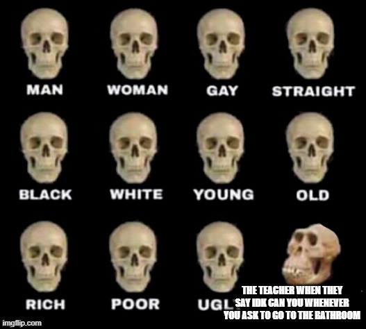 idiot skull | THE TEACHER WHEN THEY SAY IDK CAN YOU WHENEVER YOU ASK TO GO TO THE BATHROOM | image tagged in idiot skull | made w/ Imgflip meme maker