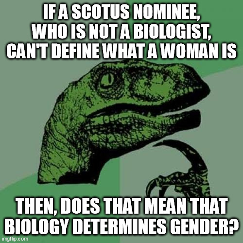 Philosoraptor | IF A SCOTUS NOMINEE, WHO IS NOT A BIOLOGIST, CAN'T DEFINE WHAT A WOMAN IS; THEN, DOES THAT MEAN THAT BIOLOGY DETERMINES GENDER? | image tagged in philosoraptor,scotus,gender identity,self own,transgenderism | made w/ Imgflip meme maker