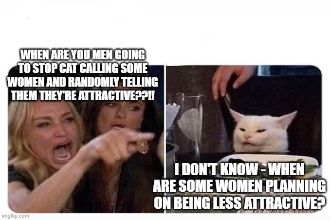 Evil MEN | WHEN ARE YOU MEN GOING TO STOP CAT CALLING SOME WOMEN AND RANDOMLY TELLING THEM THEY'RE ATTRACTIVE??!! I DON'T KNOW - WHEN ARE SOME WOMEN PLANNING ON BEING LESS ATTRACTIVE? | image tagged in woman shouting at cat,compliments | made w/ Imgflip meme maker