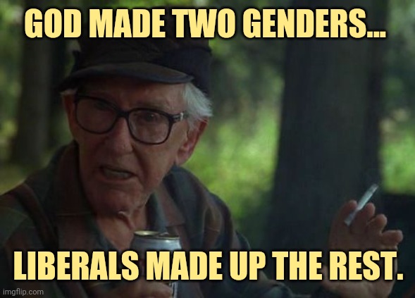 Two genders nothing more. | GOD MADE TWO GENDERS... LIBERALS MADE UP THE REST. | image tagged in wise old man | made w/ Imgflip meme maker