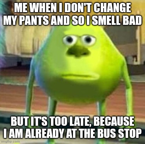 Mike wasowski sully face swap | ME WHEN I DON'T CHANGE MY PANTS AND SO I SMELL BAD; BUT IT'S TOO LATE, BECAUSE I AM ALREADY AT THE BUS STOP | image tagged in mike wasowski sully face swap | made w/ Imgflip meme maker