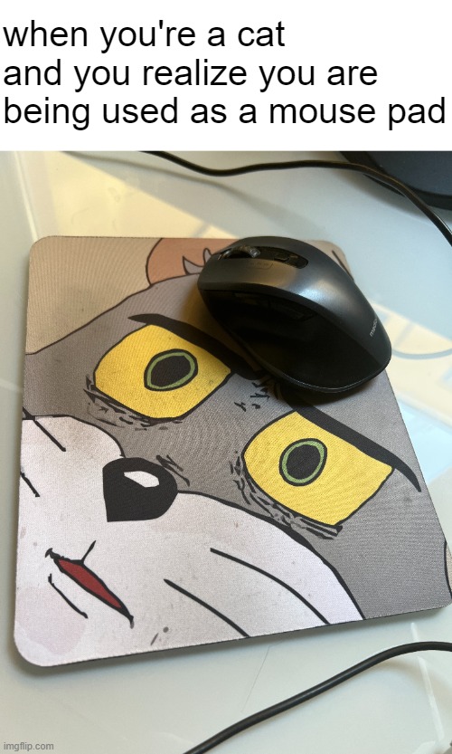 oh no | when you're a cat and you realize you are being used as a mouse pad | image tagged in unsettled tom,mouse | made w/ Imgflip meme maker