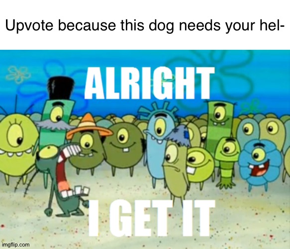 Upvote because this dog needs your hel- | image tagged in memes,blank transparent square,alright i get it | made w/ Imgflip meme maker
