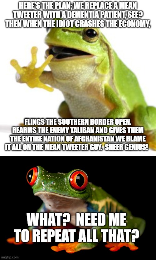 Well . . . to Dem Party voters it seemed like a brilliant idea at the time. | HERE'S THE PLAN; WE REPLACE A MEAN TWEETER WITH A DEMENTIA PATIENT, SEE?  THEN WHEN THE IDIOT CRASHES THE ECONOMY, FLINGS THE SOUTHERN BORDER OPEN, REARMS THE ENEMY TALIBAN AND GIVES THEM THE ENTIRE NATION OF AFGHANISTAN WE BLAME IT ALL ON THE MEAN TWEETER GUY.  SHEER GENIUS! WHAT?  NEED ME TO REPEAT ALL THAT? | image tagged in a well executed plan | made w/ Imgflip meme maker