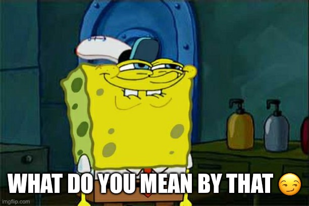 Don't You Squidward Meme | WHAT DO YOU MEAN BY THAT ? | image tagged in memes,don't you squidward | made w/ Imgflip meme maker