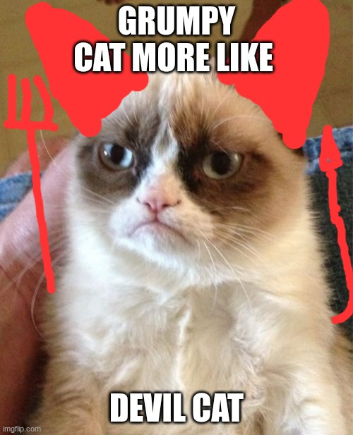Grumpy Cat | GRUMPY CAT MORE LIKE; DEVIL CAT | image tagged in memes,grumpy cat | made w/ Imgflip meme maker