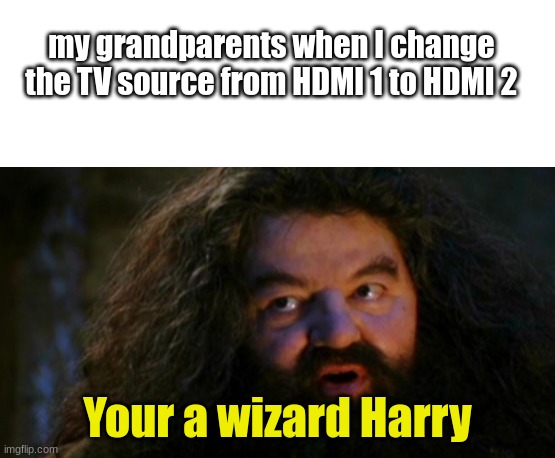 Yer a wizard Harry | my grandparents when I change the TV source from HDMI 1 to HDMI 2; Your a wizard Harry | image tagged in blank white template,yer a wizard harry | made w/ Imgflip meme maker