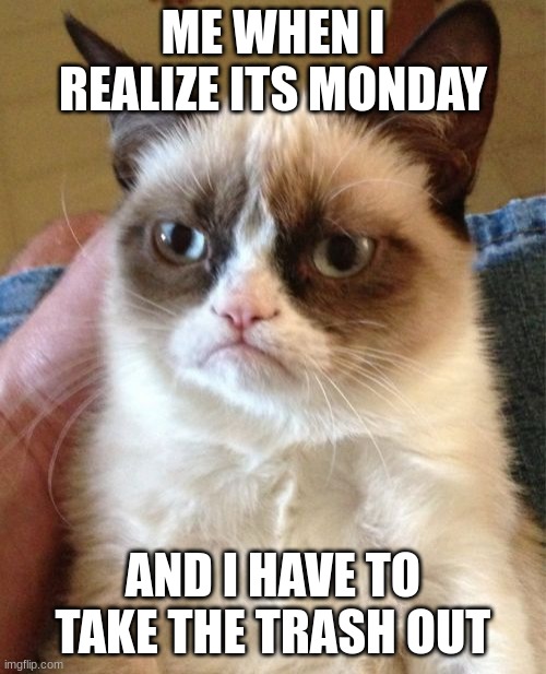 super creative title | ME WHEN I REALIZE ITS MONDAY; AND I HAVE TO TAKE THE TRASH OUT | image tagged in memes,grumpy cat | made w/ Imgflip meme maker