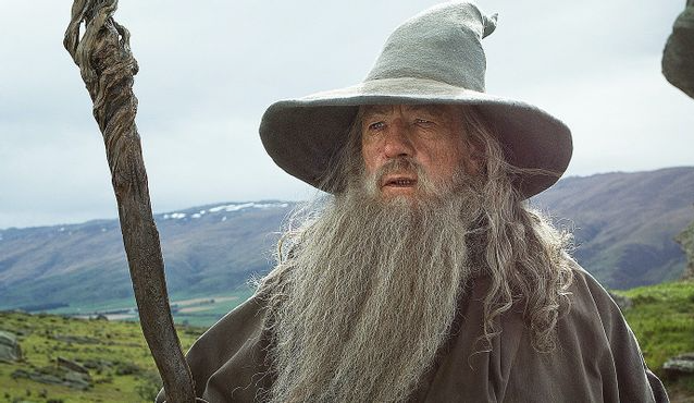 Gandalf with stick Blank Meme Template