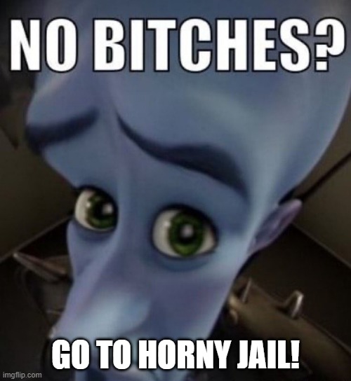 no bitches megamind | GO TO HORNY JAIL! | image tagged in no bitches megamind | made w/ Imgflip meme maker