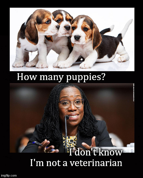 I don't know, I'm not a biologist | image tagged in ketanji brown jackson | made w/ Imgflip meme maker
