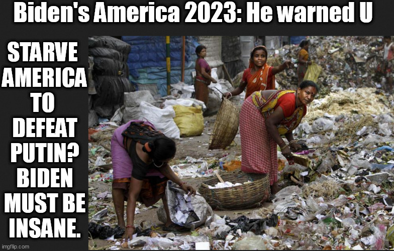 Biden Protects Ukrainian Borders by Starving Europe & USA w/ Food Shortages. Insanity Rules America. | Biden's America 2023: He warned U; STARVE 
AMERICA
TO 
DEFEAT
PUTIN?
BIDEN
MUST BE
INSANE. | image tagged in memes,politics,food shortage | made w/ Imgflip meme maker