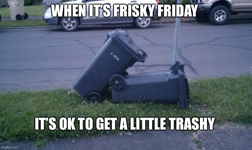 Get Trashy | WHEN IT’S FRISKY FRIDAY; IT’S OK TO GET A LITTLE TRASHY | image tagged in dirty,trash can,friday,funny,wordplay | made w/ Imgflip meme maker