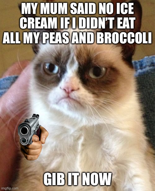 Funny childhood things | MY MUM SAID NO ICE CREAM IF I DIDN’T EAT ALL MY PEAS AND BROCCOLI; GIB IT NOW | image tagged in memes,grumpy cat | made w/ Imgflip meme maker