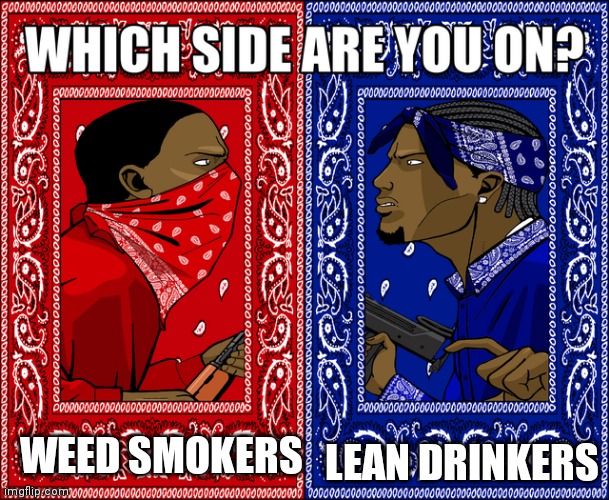 WHICH SIDE ARE YOU ON? | LEAN DRINKERS; WEED SMOKERS | image tagged in which side are you on | made w/ Imgflip meme maker