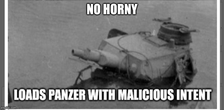 Loads panzer with malicious intent | NO HORNY | image tagged in loads panzer with malicious intent | made w/ Imgflip meme maker