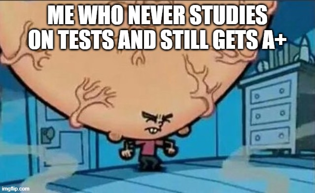 Big Brain timmy | ME WHO NEVER STUDIES ON TESTS AND STILL GETS A+ | image tagged in big brain timmy | made w/ Imgflip meme maker