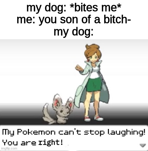 thought of this like rn | my dog: *bites me*
me: you son of a bitch-
my dog:; right! | image tagged in my pokemon can't stop laughing you are wrong | made w/ Imgflip meme maker