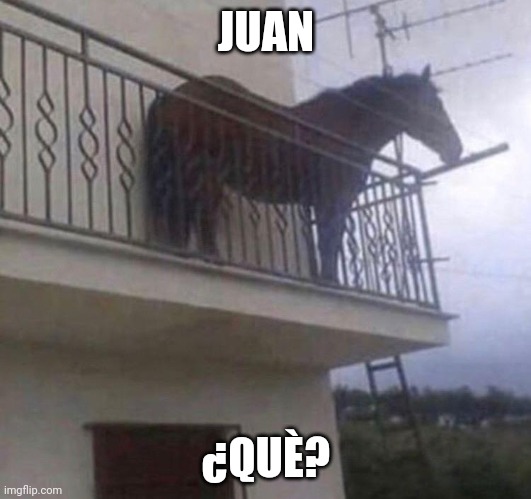 Juan | JUAN; ¿QUÈ? | image tagged in juan | made w/ Imgflip meme maker