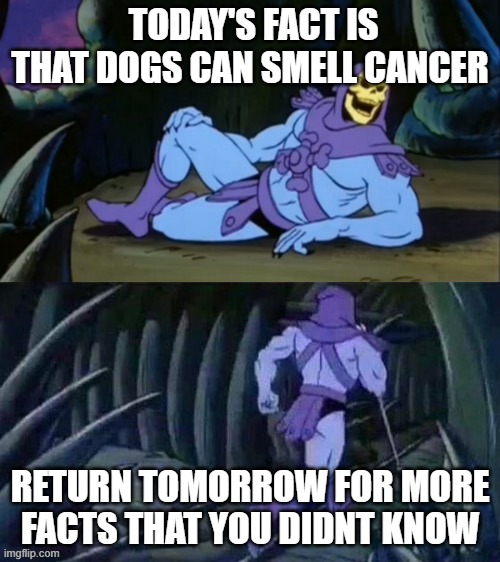 facts with Soviet Nugget | TODAY'S FACT IS THAT DOGS CAN SMELL CANCER; RETURN TOMORROW FOR MORE FACTS THAT YOU DIDNT KNOW | image tagged in skeletor disturbing facts | made w/ Imgflip meme maker