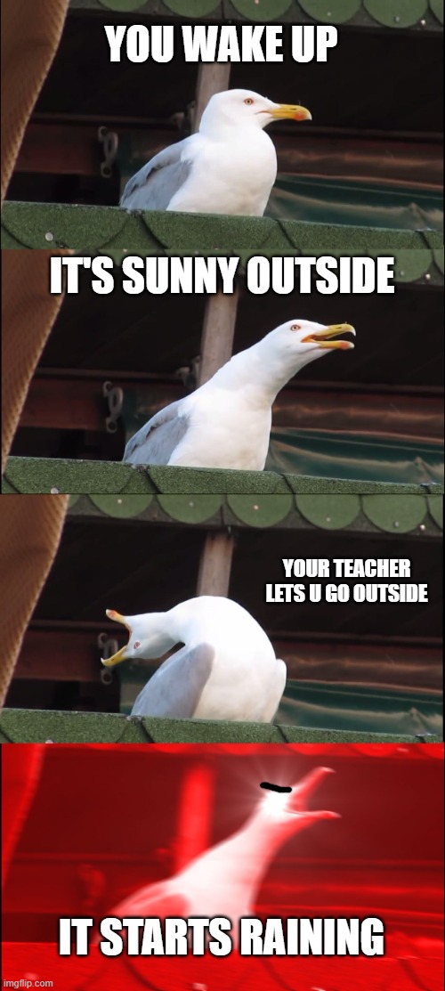 Inhaling Seagull Meme | YOU WAKE UP; IT'S SUNNY OUTSIDE; YOUR TEACHER LETS U GO OUTSIDE; IT STARTS RAINING | image tagged in memes,inhaling seagull | made w/ Imgflip meme maker
