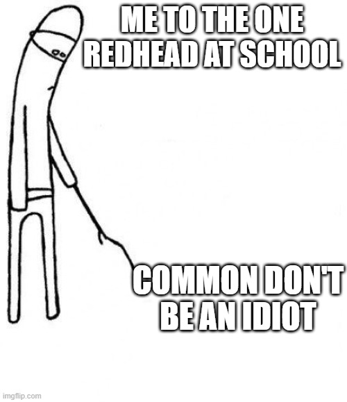 c'mon do something | ME TO THE ONE REDHEAD AT SCHOOL; COMMON DON'T BE AN IDIOT | image tagged in c'mon do something | made w/ Imgflip meme maker