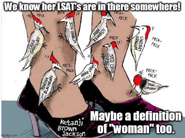When the Circus comes to town, the Clowns are always the favorites! | We know her LSAT's are in there somewhere! Maybe a definition of "woman" too. | image tagged in memes,politica,fun and funnier | made w/ Imgflip meme maker