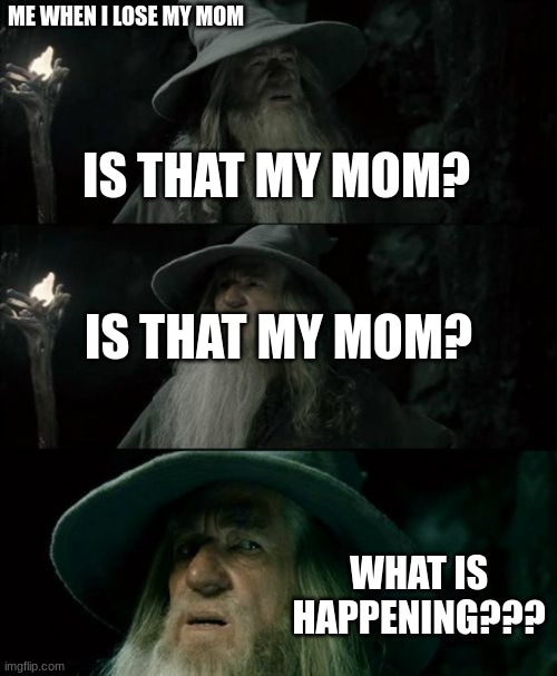 wheres my mom? | ME WHEN I LOSE MY MOM; IS THAT MY MOM? IS THAT MY MOM? WHAT IS HAPPENING??? | image tagged in memes,confused gandalf | made w/ Imgflip meme maker