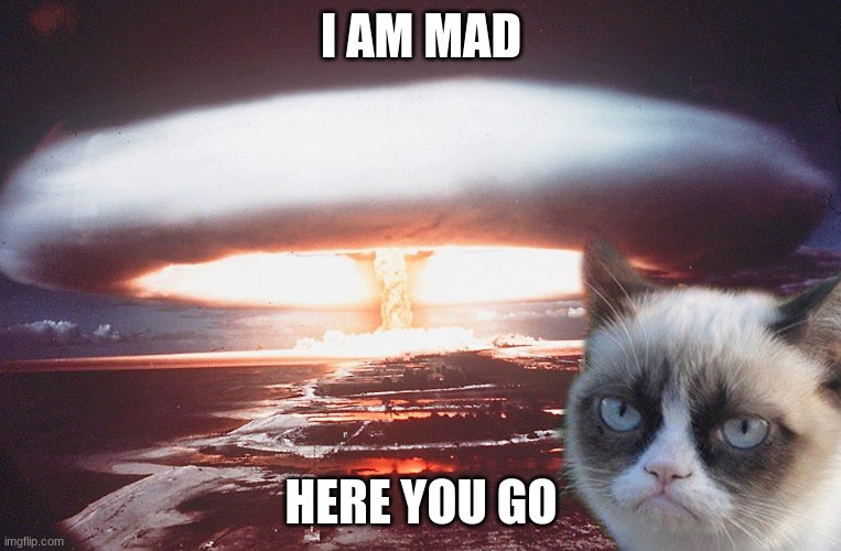 grumpy cat | I AM MAD; HERE YOU GO | image tagged in grumpy cat | made w/ Imgflip meme maker