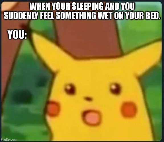 Surprised Pikachu | WHEN YOUR SLEEPING AND YOU SUDDENLY FEEL SOMETHING WET ON YOUR BED. YOU: | image tagged in surprised pikachu | made w/ Imgflip meme maker