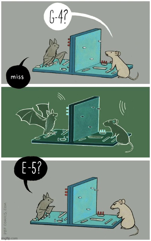 echolocation | image tagged in comics/cartoons,echolocation,rat,bat,battleship | made w/ Imgflip meme maker