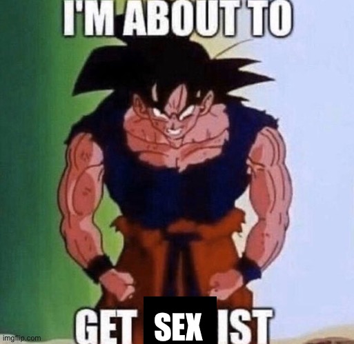 SEXIST | SEX | image tagged in im about to get sexist | made w/ Imgflip meme maker